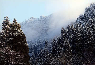 0901uchida.jpg