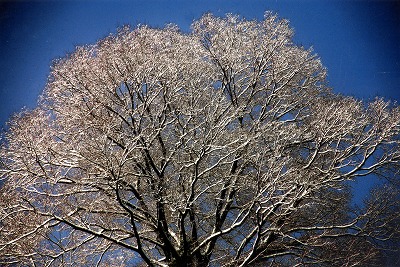 0901umezawa.jpg