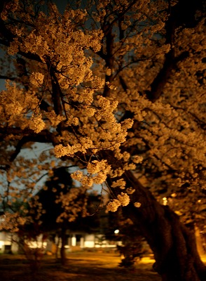 IMG_7661b.jpg
