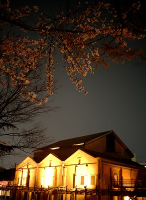 IMG_7663b.jpg