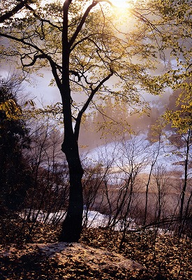 muramoto0704.jpg