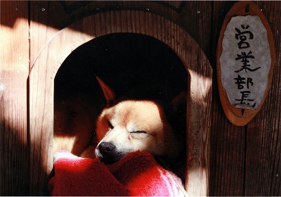 1006ohno.jpg