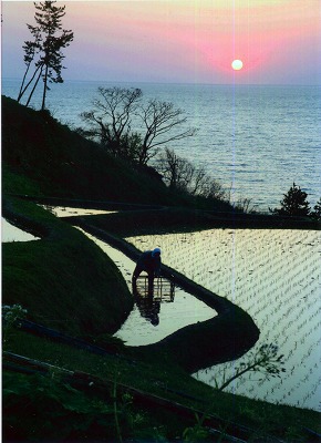 1006satoh.jpg