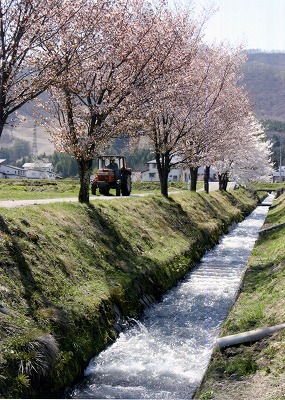 1008hiramoto.jpg