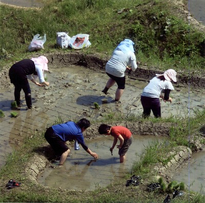 1008takano.jpg