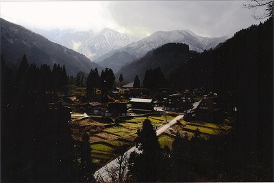 1101s-umezawa.jpg