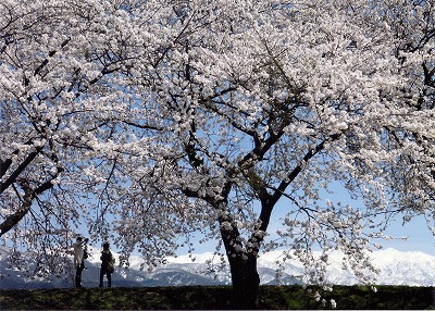 1108hiramoto2.jpg