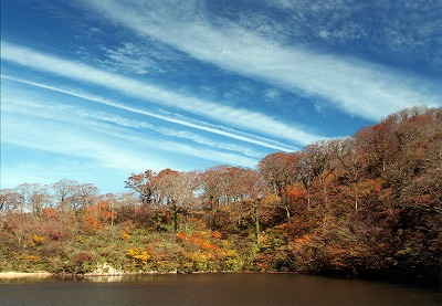 matsuno0511.jpg