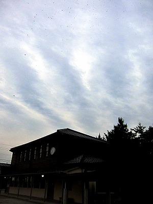s-IMG_8005p.jpg