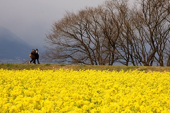 s-IMG_8340p.jpg