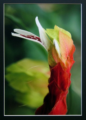 s-IMG_9296p.jpg