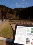 s-P1000360b.jpg
