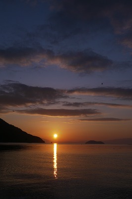 s-P1010322.jpg