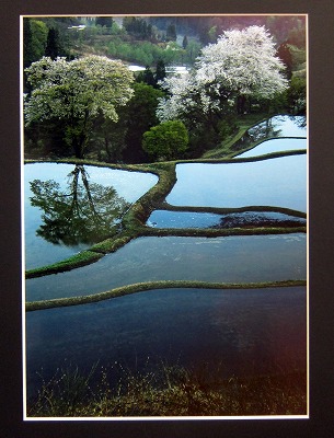 takadaIMG_0625p.jpg